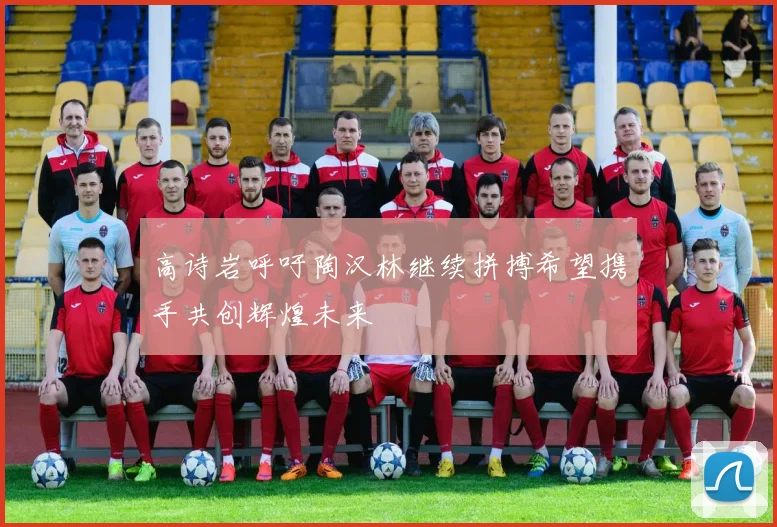 高诗岩呼吁陶汉林继续拼搏希望携手共创辉煌未来