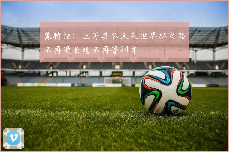 蒙特拉：土耳其队未来世界杯之路不再漫长绝不再等24年