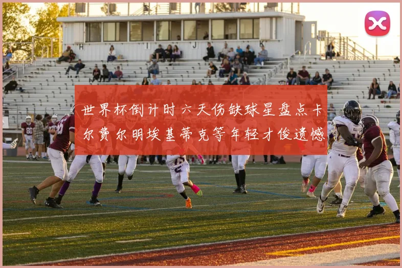 世界杯倒计时六天伤缺球星盘点卡尔费尔明埃基蒂克等年轻才俊遗憾缺席