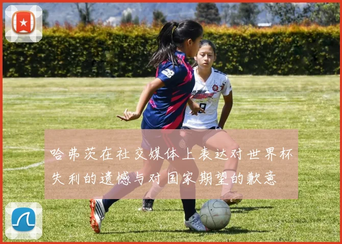 哈弗茨在社交媒体上表达对世界杯失利的遗憾与对国家期望的歉意